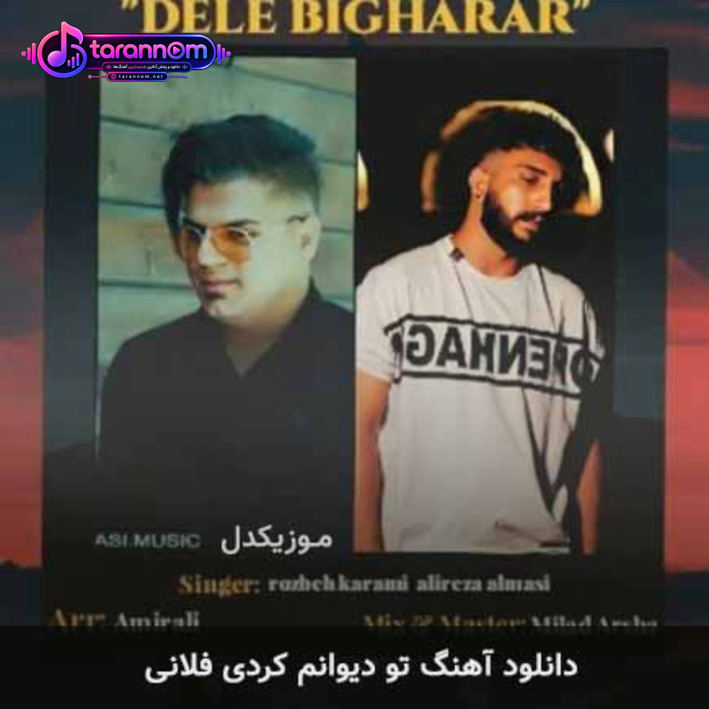 تو دیوانم کردی فلانی