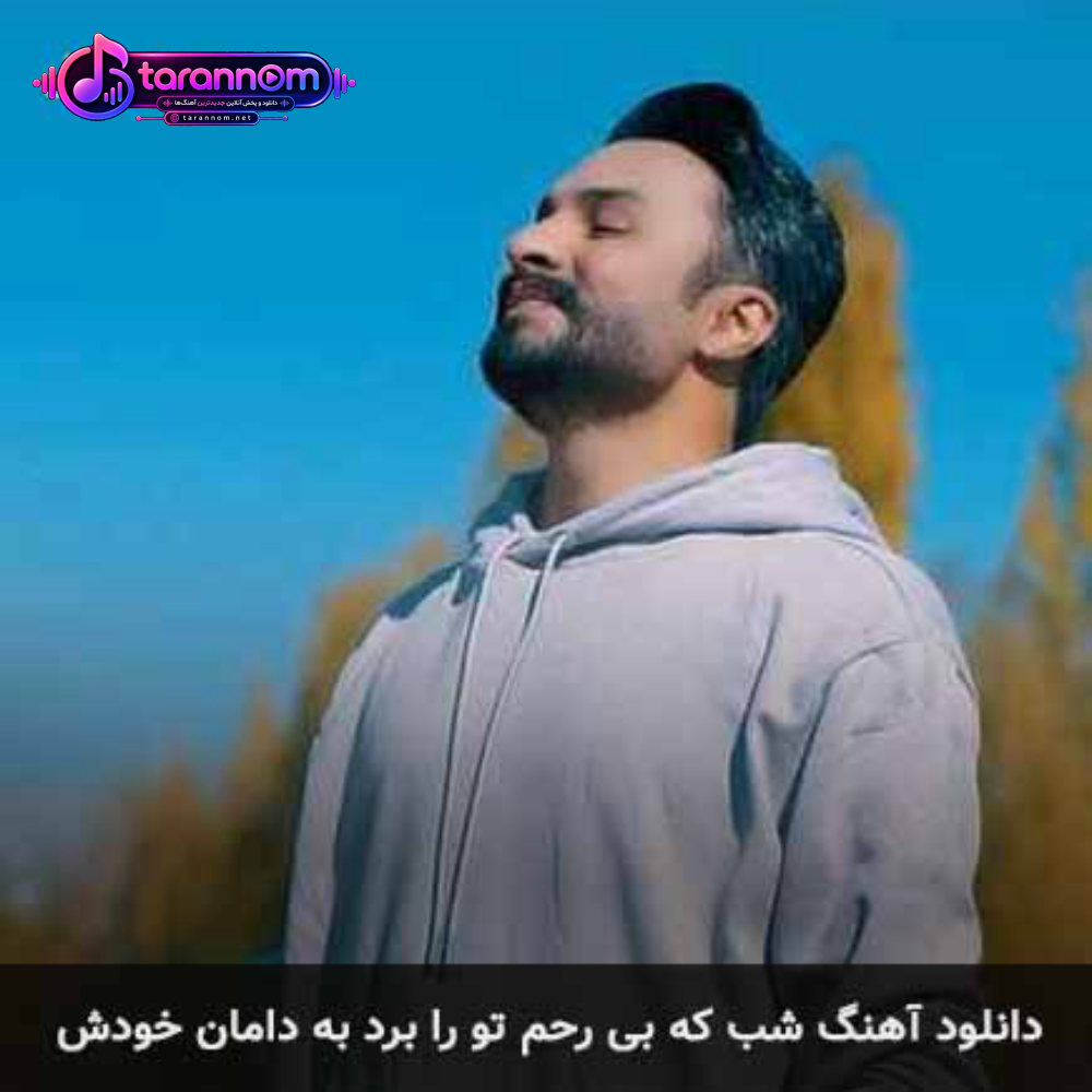 شب که بی رحم تو را برد به دامان خودش