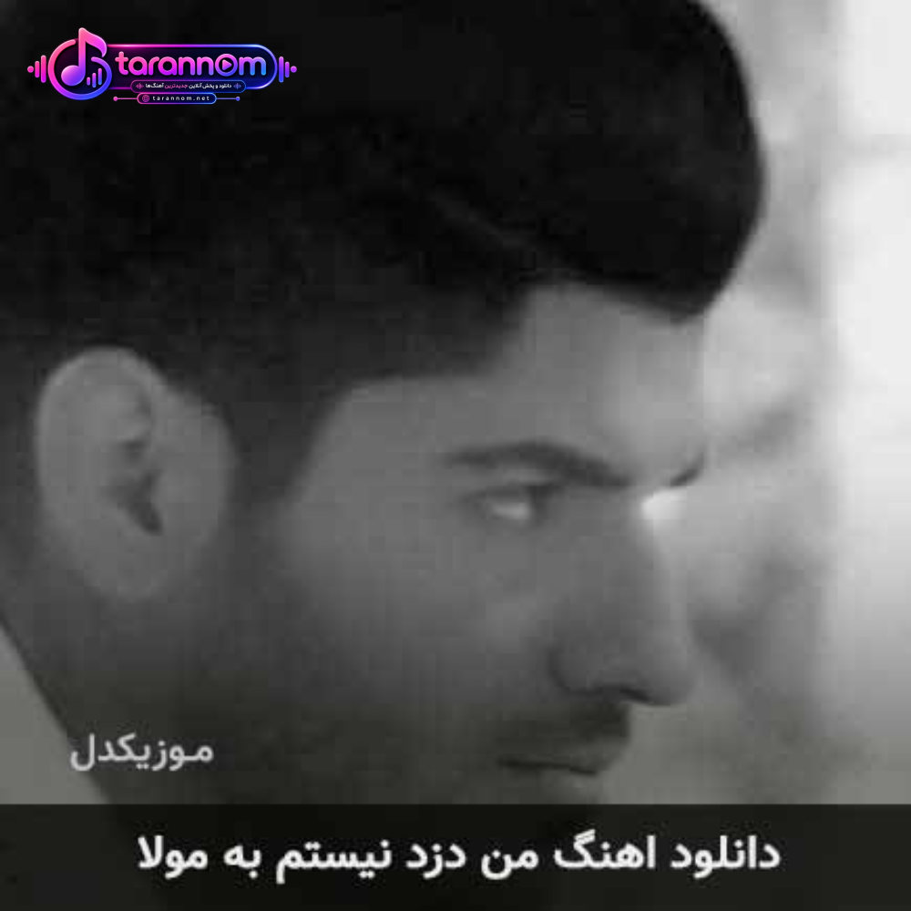 من دزد نیستم به مولا