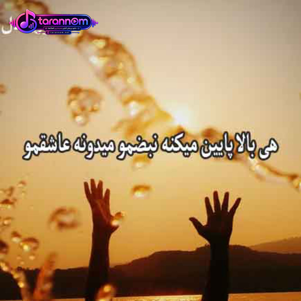 هی بالا پایین میکنه