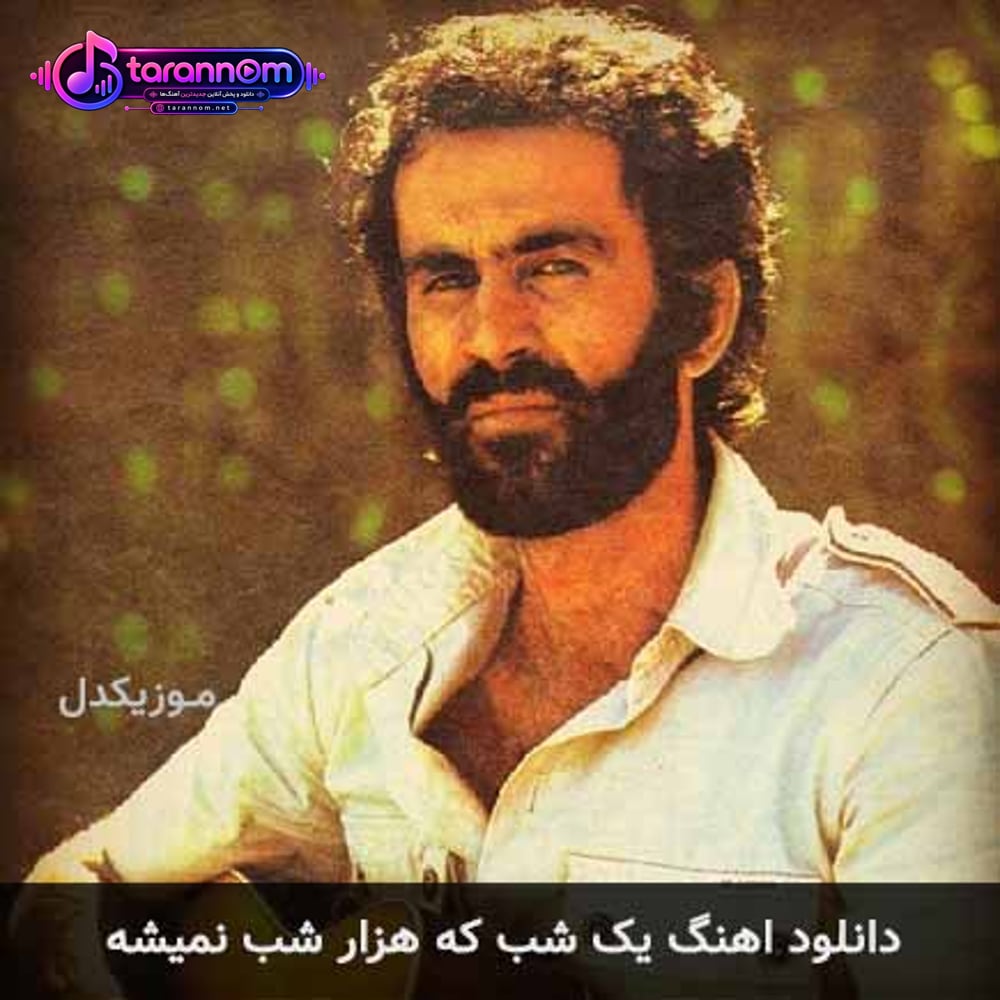 یک شب که هزار شب نمیشه