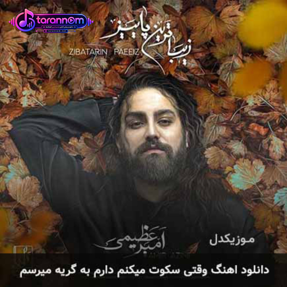 وقتی سکوت میکنم دارم به گریه میرسم