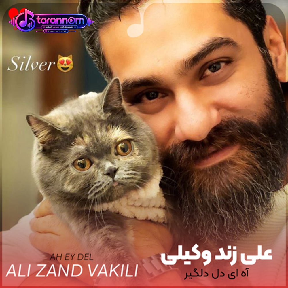 آه ای دل دلگیر