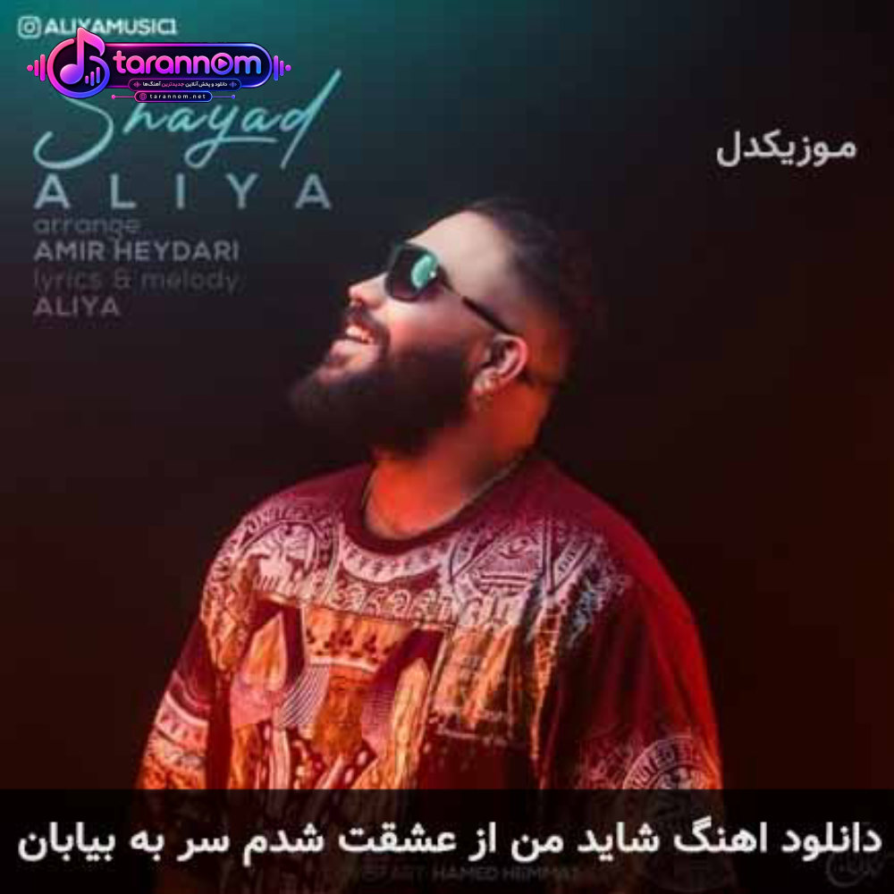 شاید من از عشقت شدم سر به بیابان
