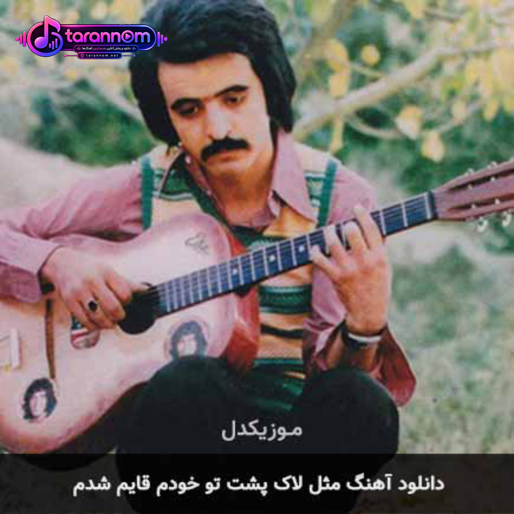 مثل لاک پشت تو خودم قایم شدم