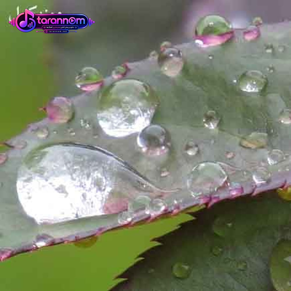یه نفر تو زندگیمه