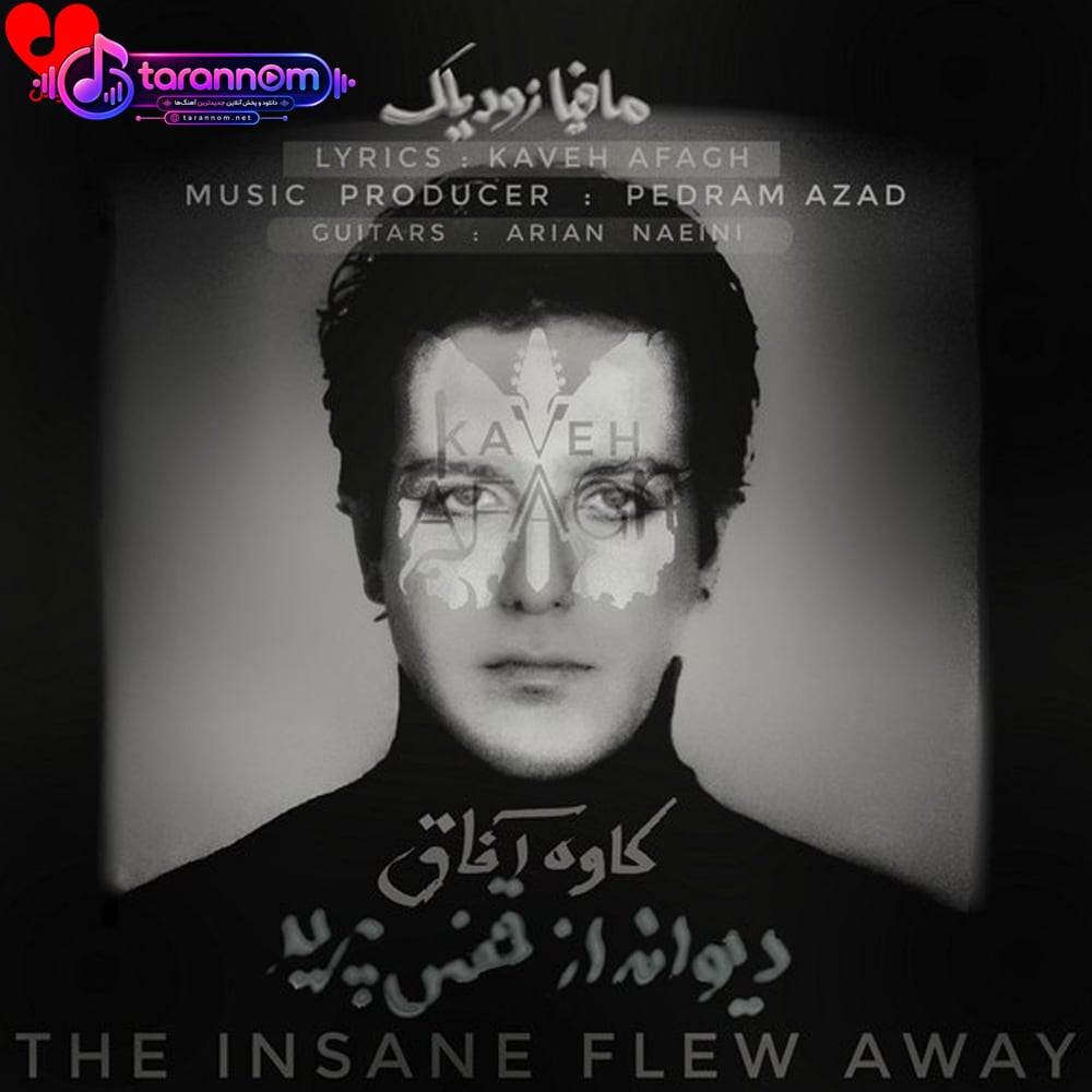 دیوانه از قفس پرید