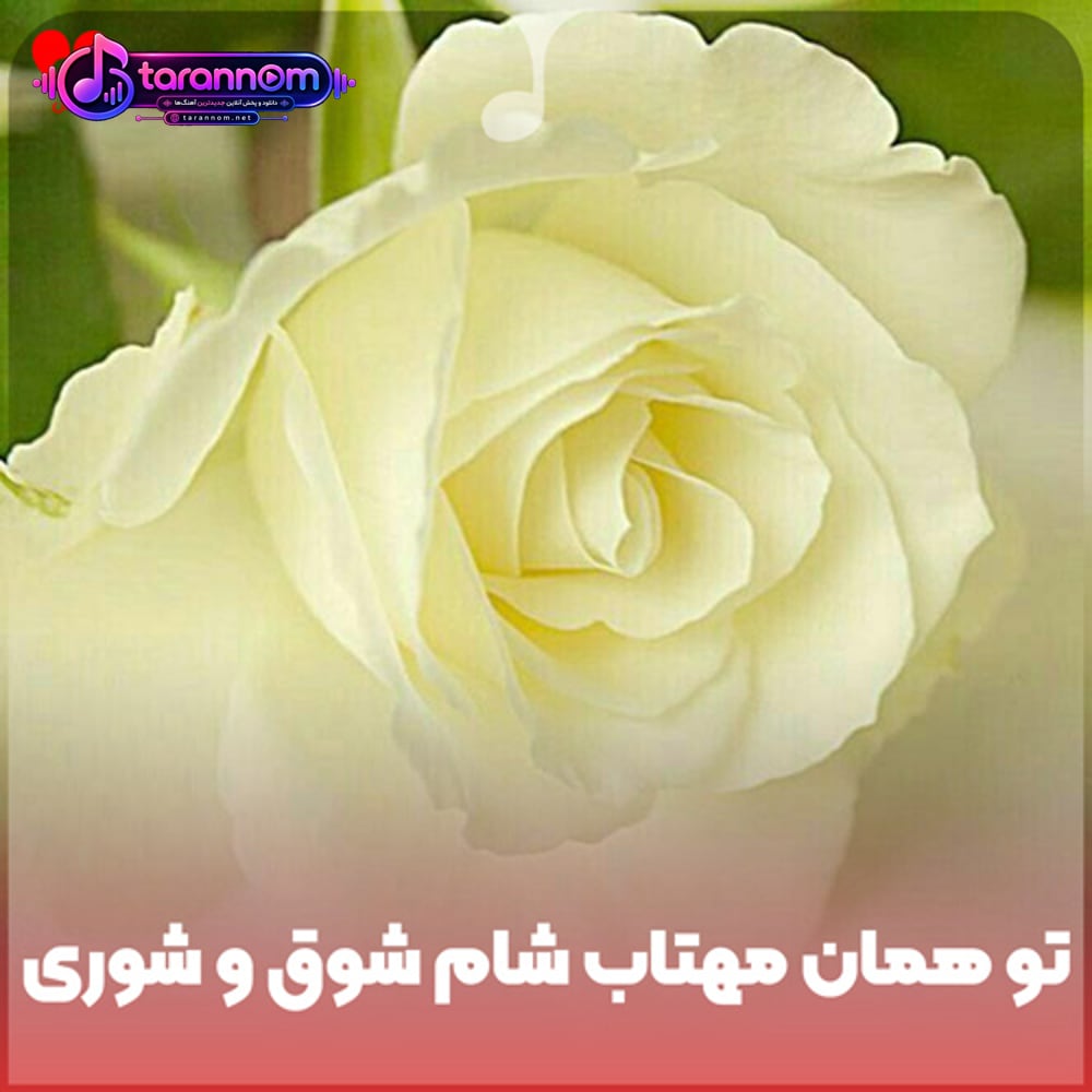 تو همان مهتاب شام شوق و شوری