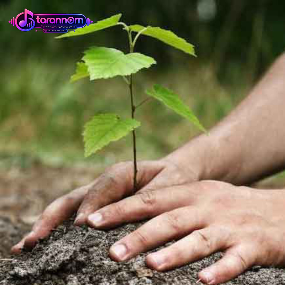 به دست خود درختی می نشانم
